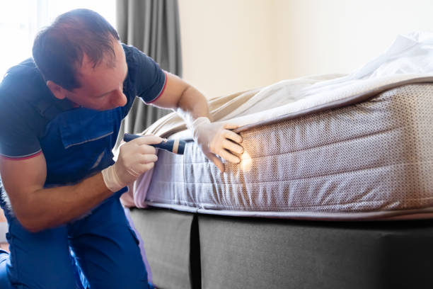 Best Bed Bug Extermination  in Constantine, MI